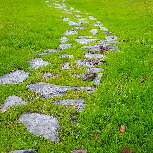 92. Key Takeaways from the Mindfulness and Meditation Series for Educators