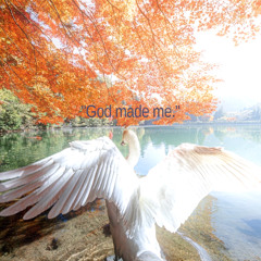 Fedor the Swan