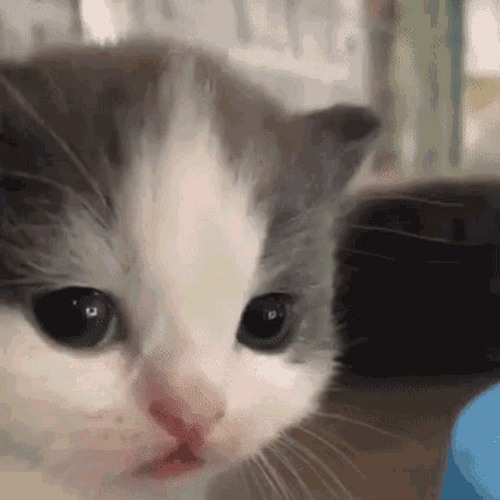 COME BACK FOR ME (SCRAPPED INTERLUDE)