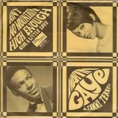 Marvin Gaye - Ain't No Mountain High Enough(Bronco 'Nanana' Edit)