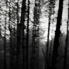 MIERNØ - STAY DEAD (PROD. KOSHE)