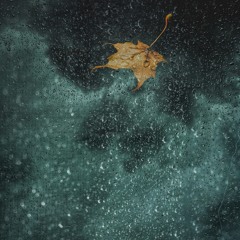 Echoes of Unsettled Thoughts