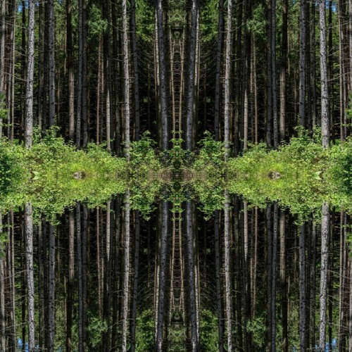 | Premiere | Firesc - Time Oscillator