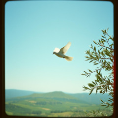 Side of Peace