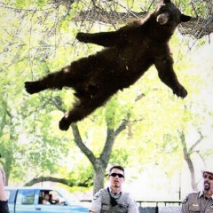 BYE BYE (Jo Dee Mesina Cover)