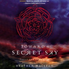 TOWARD A SECRET SKY by Heather Maclean