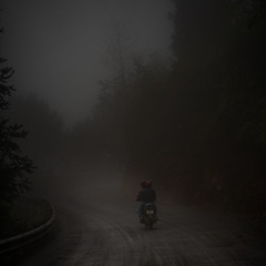Echoes