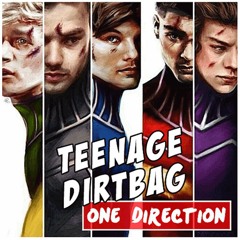 One Direction- Teenage Dirtbag(This Is Us Version HQ)