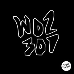 PREMIERE: Woozy - Hold On [Slow Punchhh]