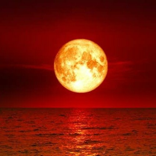 Bleed Into The Night