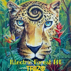 Illectric Forest III