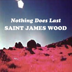 Nothing Does Last (demo)