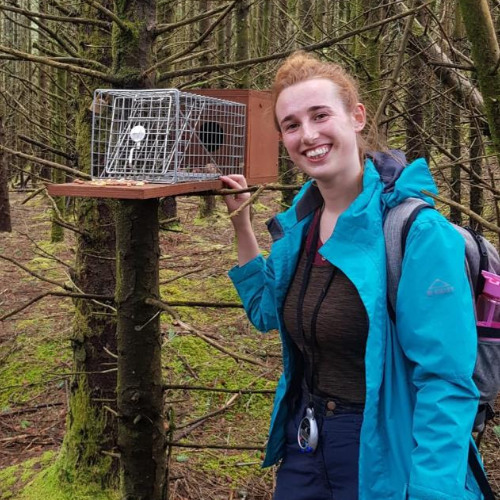 How red squirrels adapt their behaviours in habitats shared with pine martens - Interview with Dr. Emily Reilly