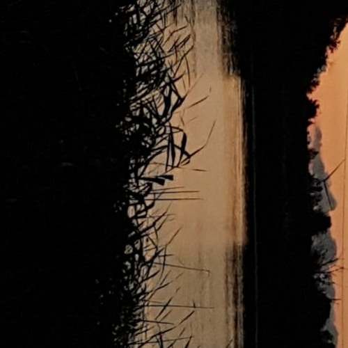 dysperbit kuta ori ori ores