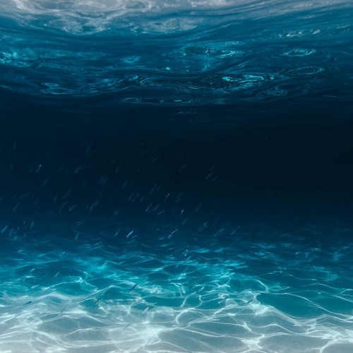 Oceanic Consciousness