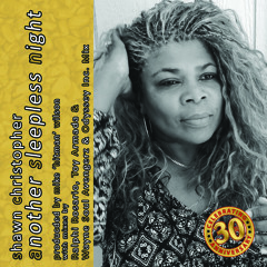 Another Sleepless Night (Wayne Soul Avengerz & Odyssey Inc. Remix)