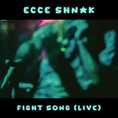 Fight Song (Live)