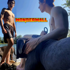 WONDERWALL