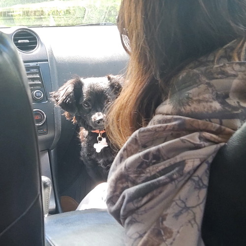 How do I look Mei Mei? So beautiful mama how do I look? Perfect