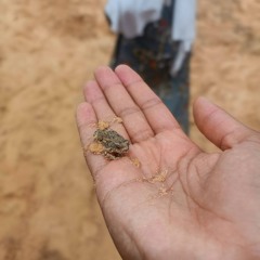 Cruel Without Knowing (Live)