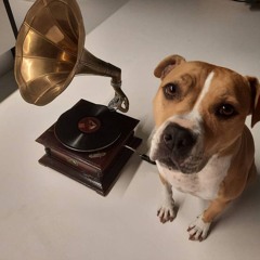 oldschool hardtechno vinylsession