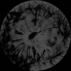 Elata Premiere: Alberto Tolo - Shakuhachi Flute [ALT, Wild Tarmac EP]