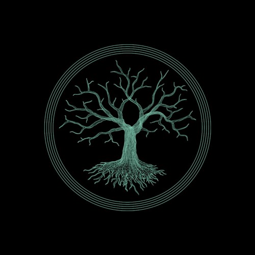 Virtual Forest Records | Discography