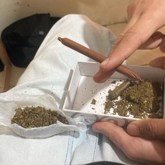 CAVALA MEMO DO PEITINHO E DO BUNDÃO 💯