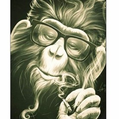 Monkey Smoking