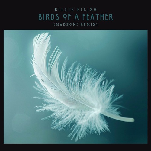 Billie Eilish - BIRDS OF A FEATHER Limited 7-Inch Single UO