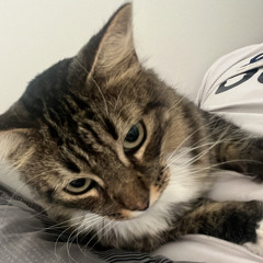 ##p4ck (DJ SYDNEY EXCLUSIVE)