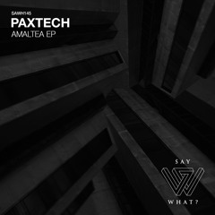 PREMIERE: Paxtech - Amaltea [Say What?]