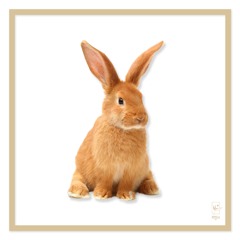 Snugs Bunny (ft. Mahealane)