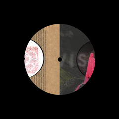 Stef Mendesidis - The Secret Agent's Blunder vs. Cyborg (Vreschen Mashup)