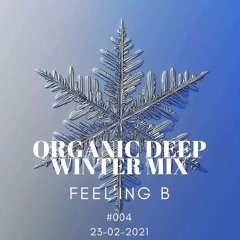 - ORGANIC DEEP WINTER MIX - #004 - (23 - 02 - 2021)