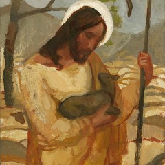 Have You Seen Him (Softer) — St Mark DC