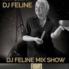 DJ Feline - Eclipse raise the vibration mix