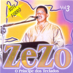 O Menino da Porteira