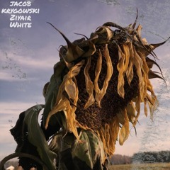 Dead Sunflower @prod.jako @Zooka