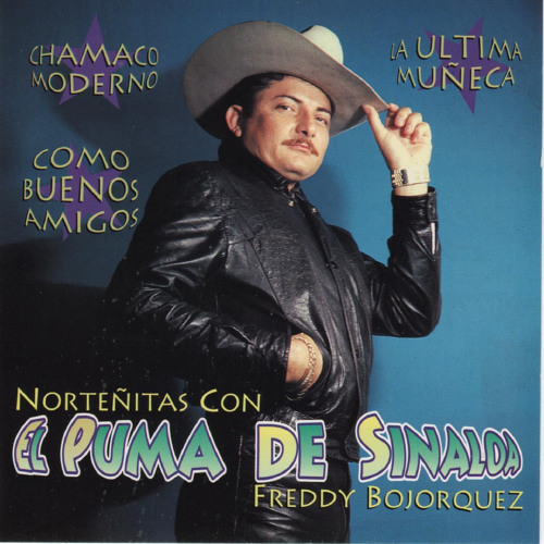 Stream El Gallo Celoso by El Puma De Sinaloa | Listen online for free on  SoundCloud