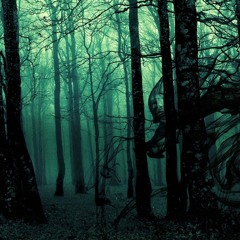 Forest Psyhology 001