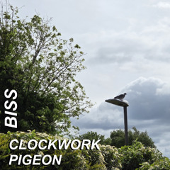 Clockwork Pigeon