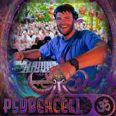 Sam Strutt LIVE @ MauiWaui Festival // Psybercell 2024