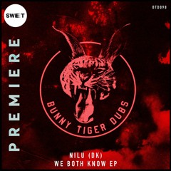 PREMIERE : NILU (DK) - U Promised (Original Mix) [Bunny Tiger Dub]
