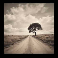 Title_ Walk My Own RoadVerse 1