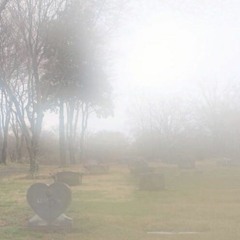why the dead are better treated than the living..