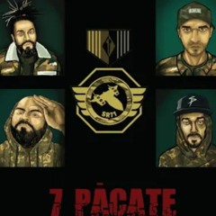 sr71 (Faust, Bocaseca, Phunk B, Dilimanjaro, Infinitu, Motanu, Fanescu, DJ Zicu) - 7 Pacate