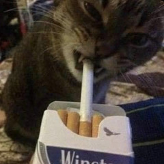 y me
