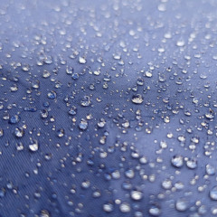 Tears for a Forgotten Future