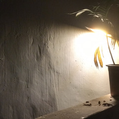 không có tình yêu cho kẻ tương tư